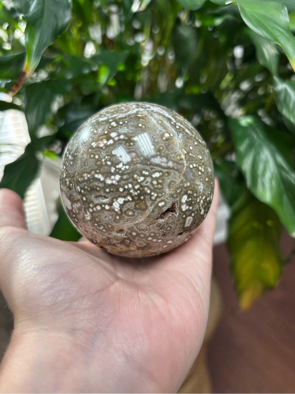 Natural Polished Ocean Jasper Sphere - Brown and Cream